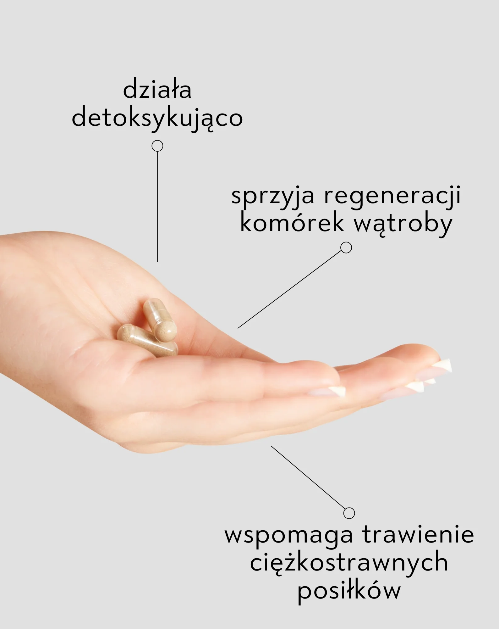 Ostropest plamisty tabletki Zdrowa wątroba Nutridome 180 kapsułek - Image 3